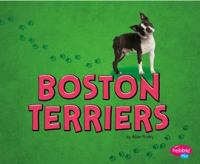 Boston_Terriers